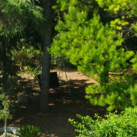 Paestum House Bed & Breakfast Екстериор снимка